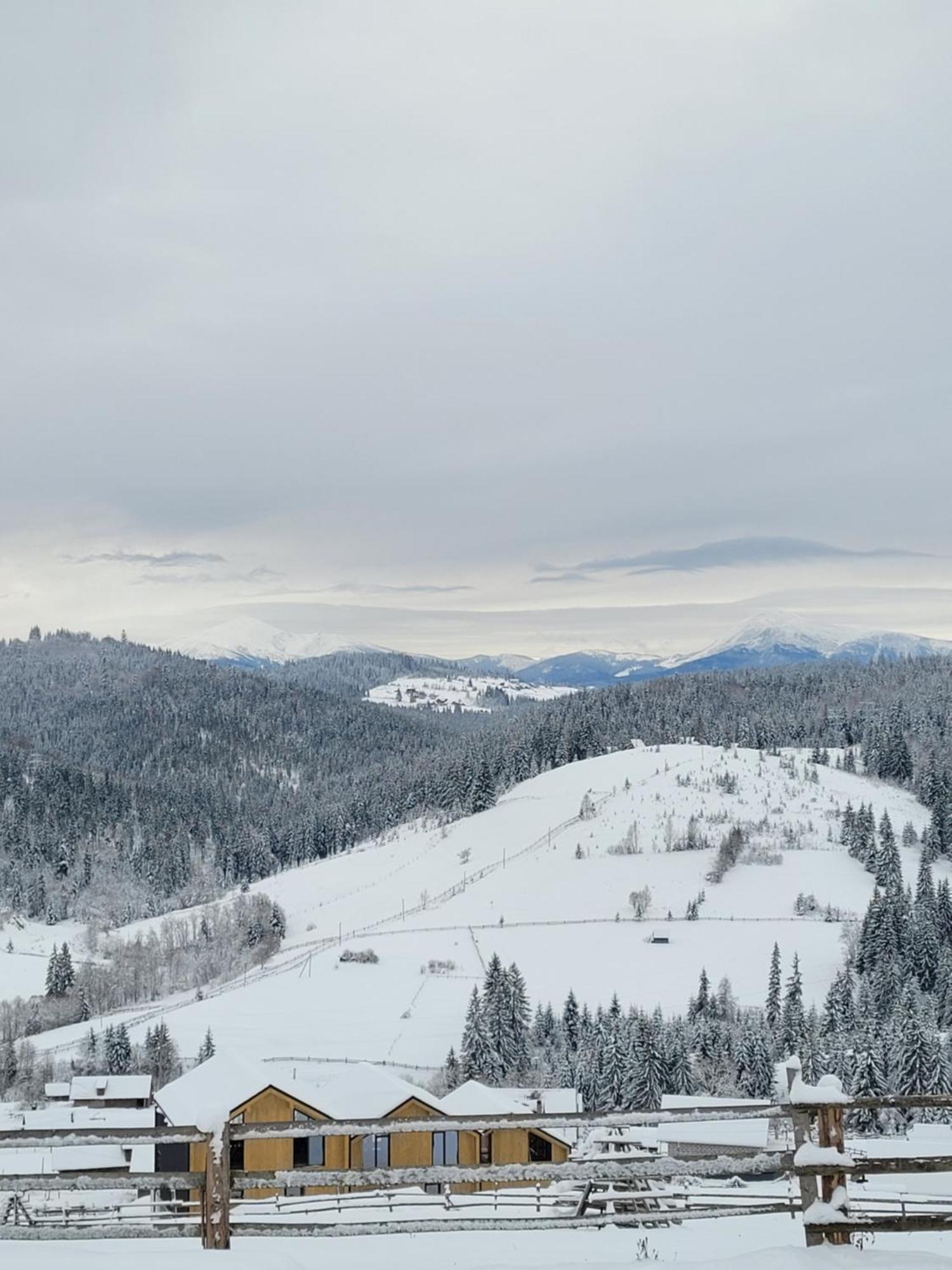 Шале Green Land Bukovel Luaran gambar